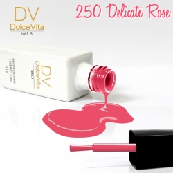 250 Delicate Rose